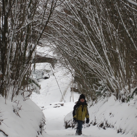 Chalet Ingas A quaint B&B in the picturesque hills of Troistorrents