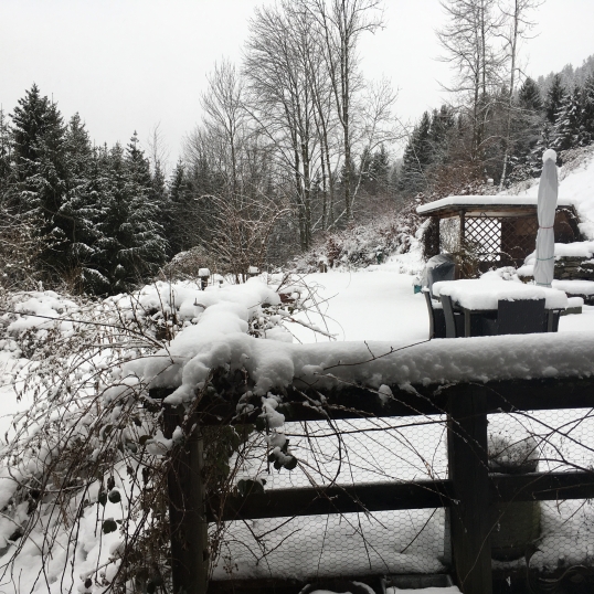 Chalet Ingas A quaint B&B in the picturesque hills of Troistorrents