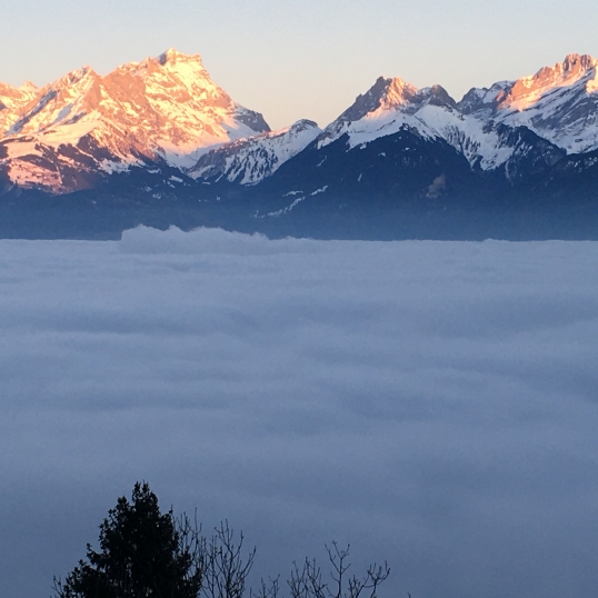 Chalet Ingas A quaint B&B in the picturesque hills of Troistorrents